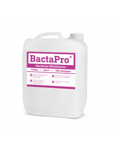 Bactéries Nitrifiantes - BactaPro®