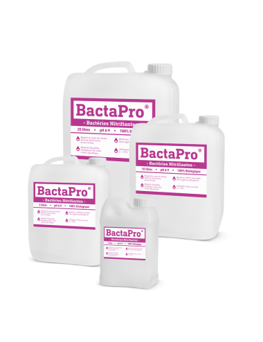 bactérie nitrifiante - BactaPro®