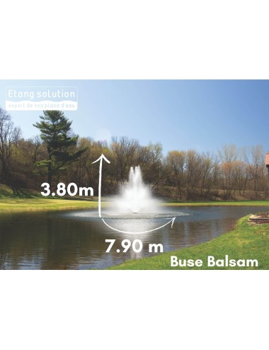 Fontaine-Kasco-Buse-Balsam-3.1EJF-3HP