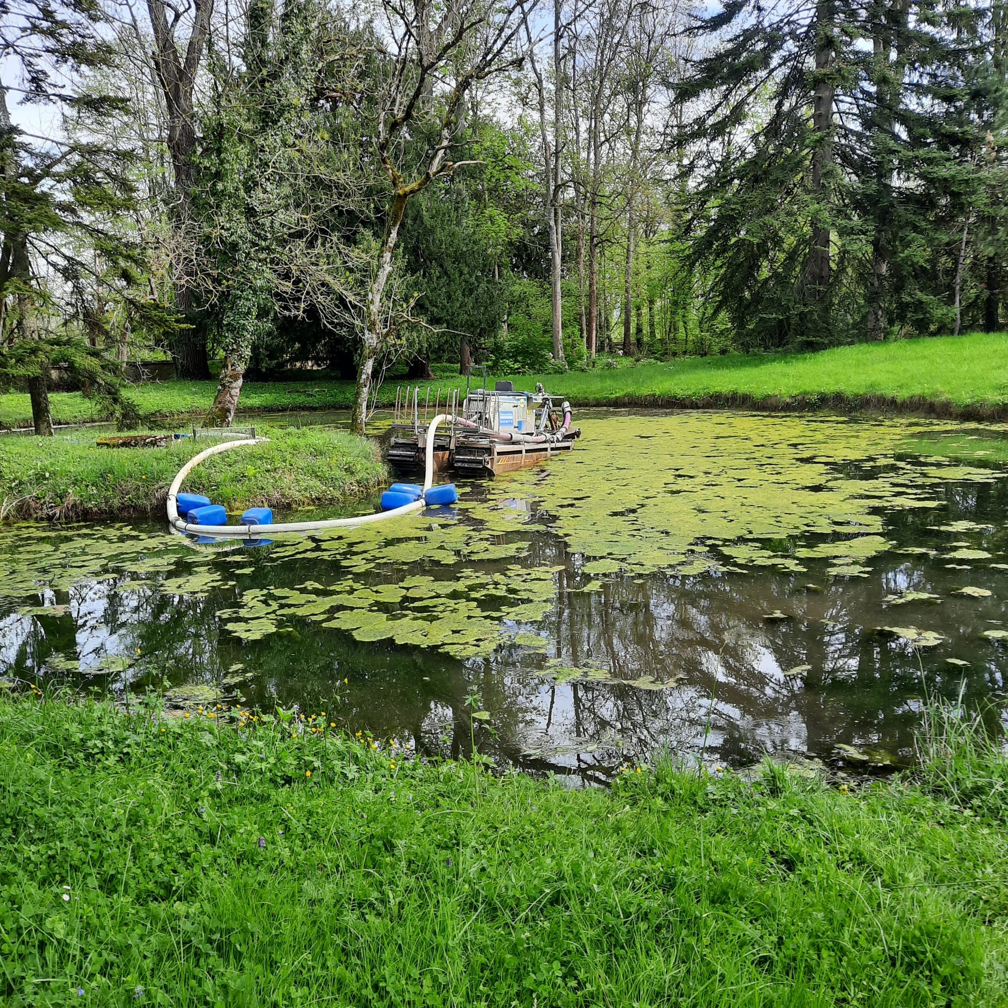 curage-entretien-algues-etang