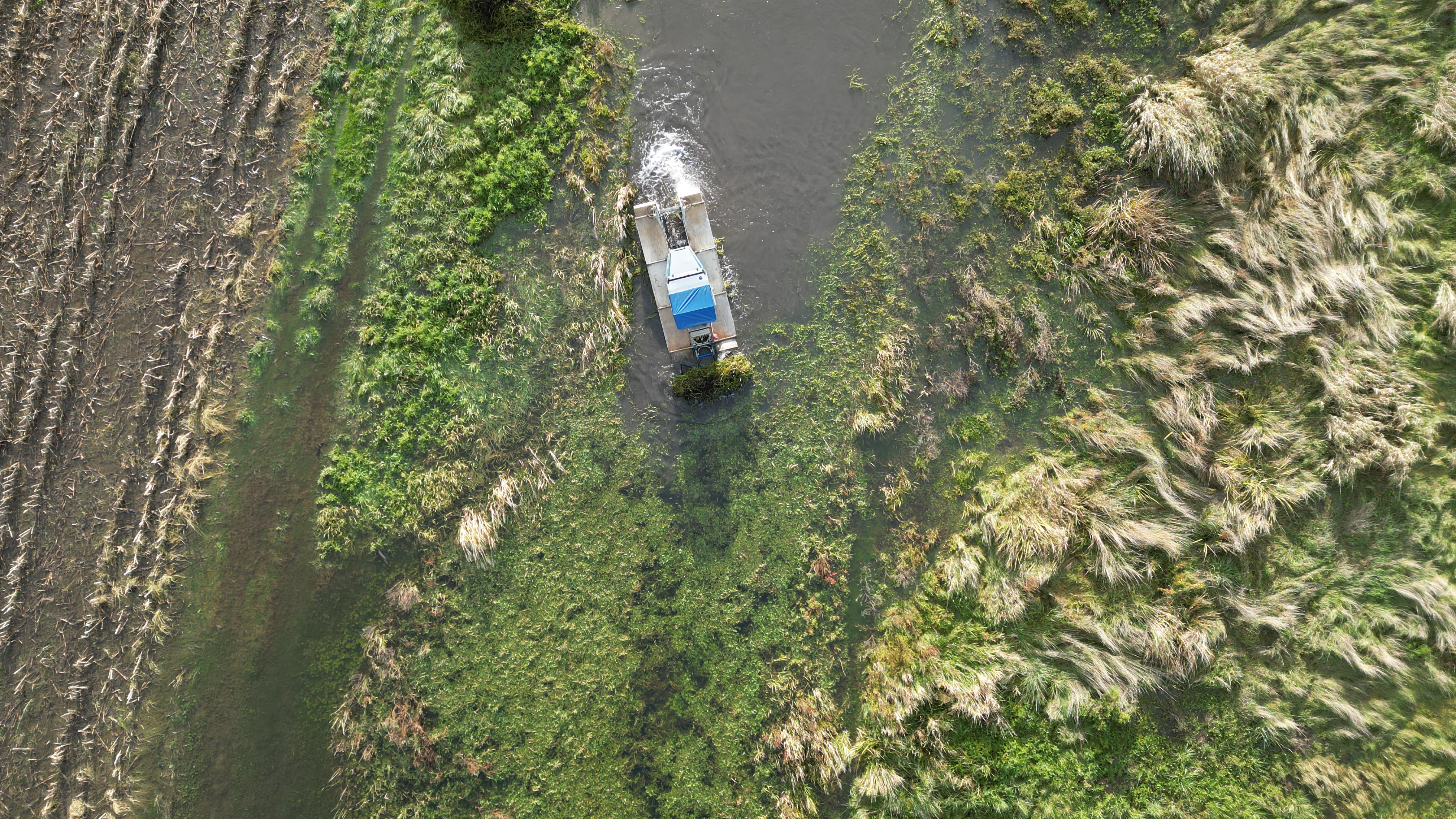 etang arrachage jussie bourgogne INOVAL