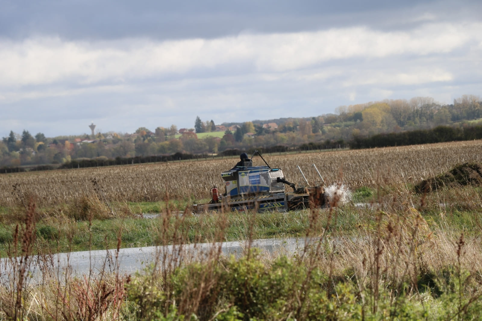 arrachage jussie entretien etang