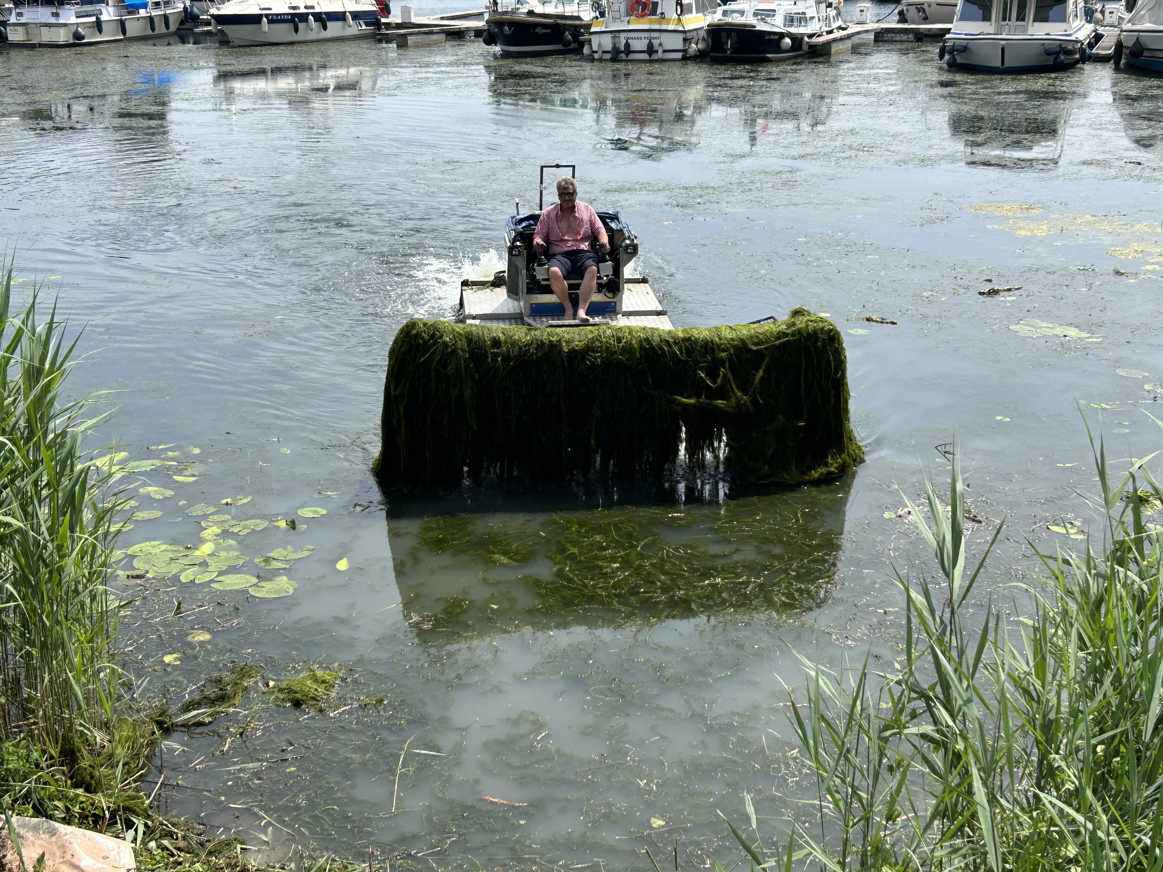 faucardage d'entretien d'etang solution