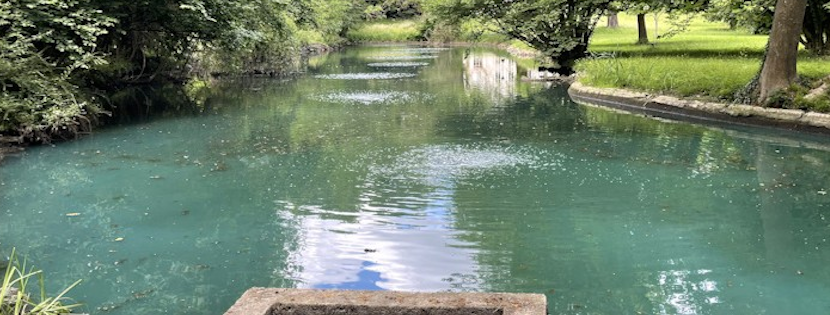 Plantes aquatiques et colorants : ce que révèle un dossier national