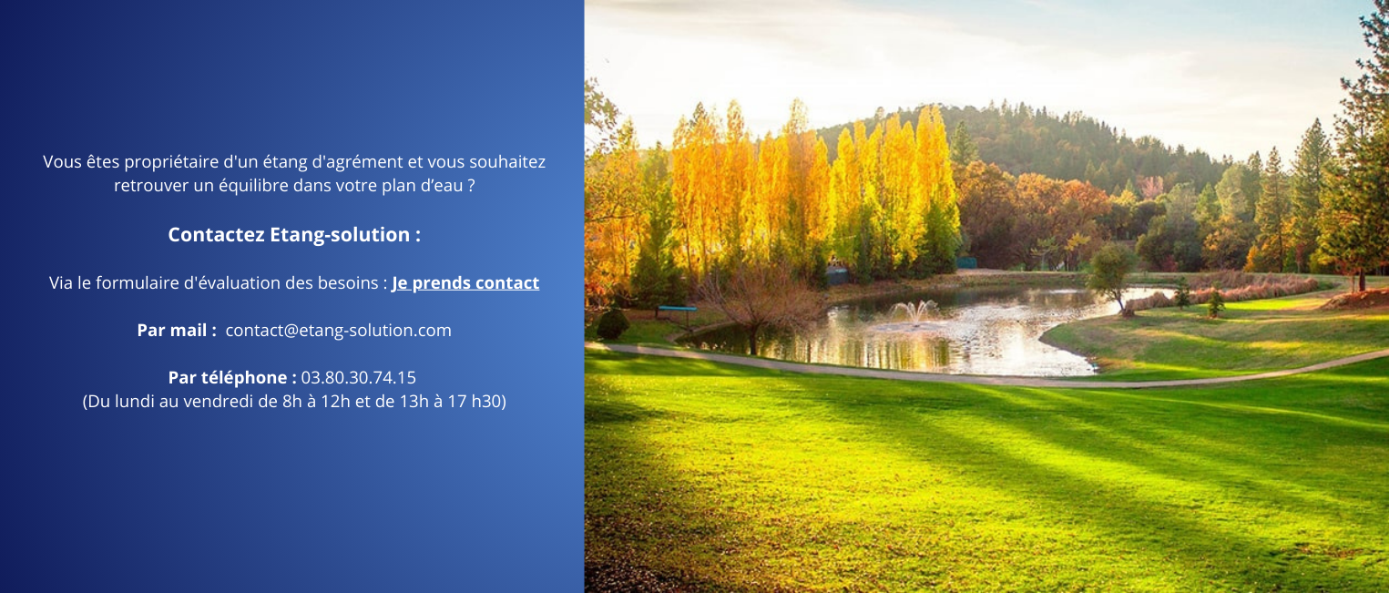 etang-pisciculture-etangsolution-