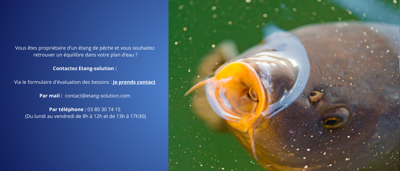 carpe-surface-etangsolution-