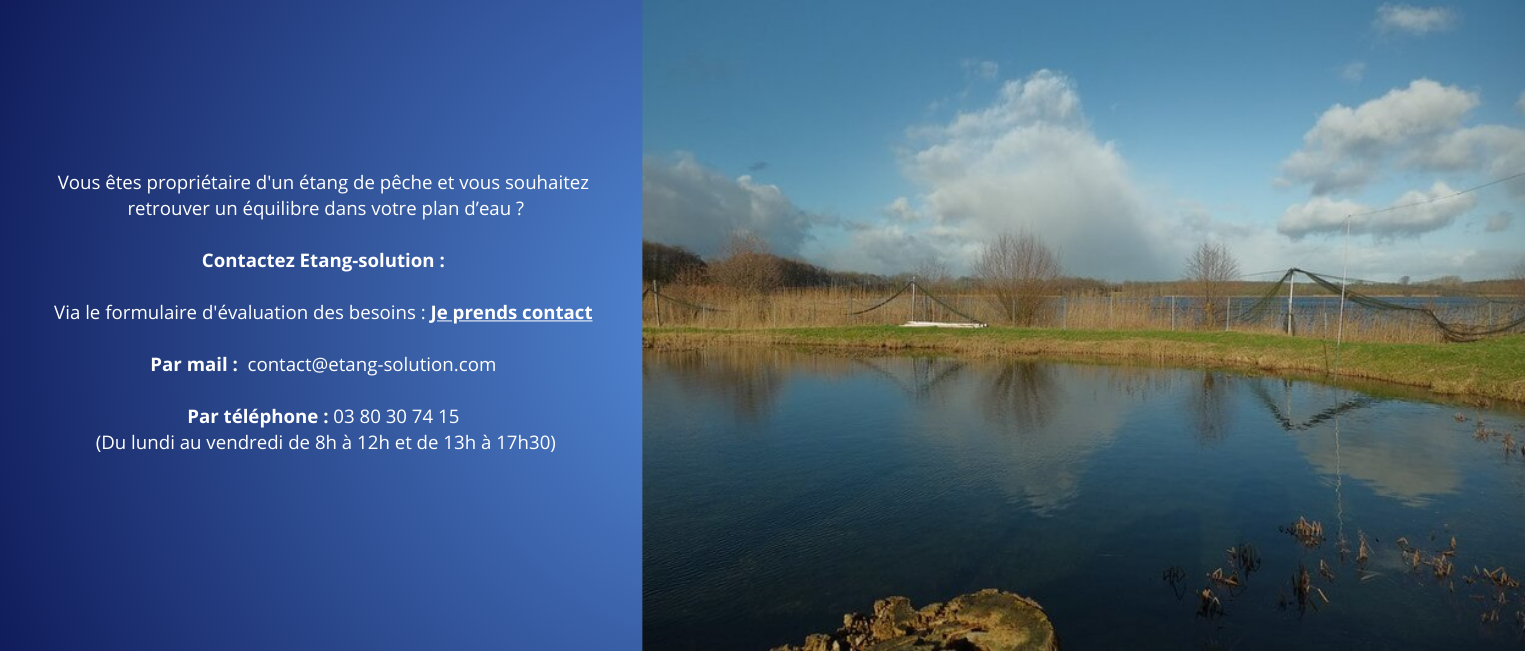 etang-pisciculture-